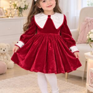 Robe rouge princesse avec 2 broches cheveux